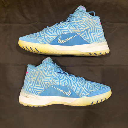 Nike Zoom LeBron NXXT Genisus University Blue White - WiscKicks