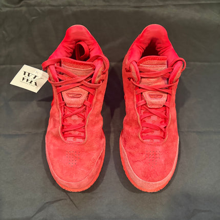 Nike Zoom LeBron NXXT Gen James Gang - WiscKicks