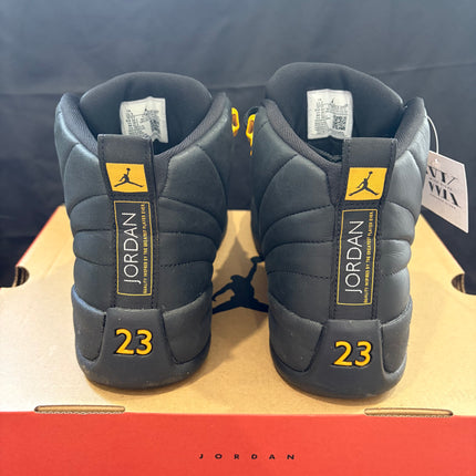 Air Jordan 12 Retro "Black Taxi" - Men's Size 10.5 | WiscKicks