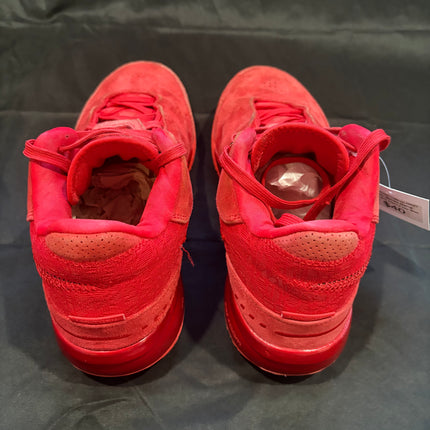 Nike Zoom LeBron NXXT Gen James Gang - WiscKicks