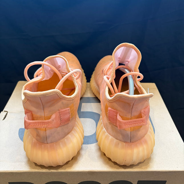 adidas Yeezy Boost 350 V2 Mono Clay - WiscKicks