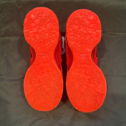Nike Zoom LeBron NXXT Gen James Gang - WiscKicks