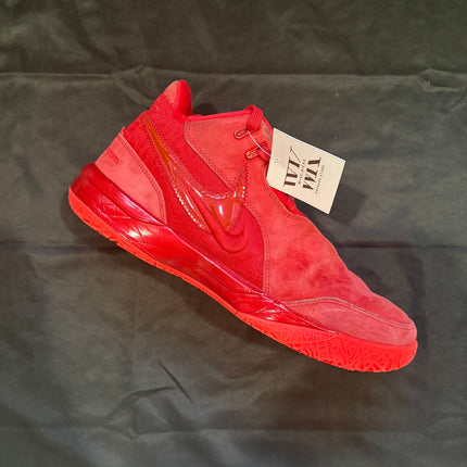 Nike Zoom LeBron NXXT Gen James Gang - WiscKicks