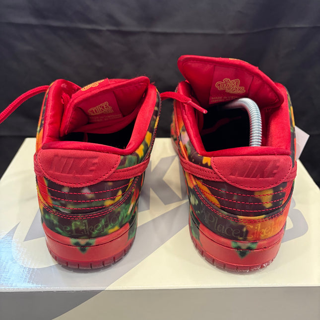 Nike SB Dunk Low The Wizard of Oz Poppy Field | Authentic Sneakers - WiscKicks