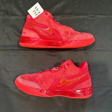 Nike Zoom LeBron NXXT Gen James Gang - WiscKicks