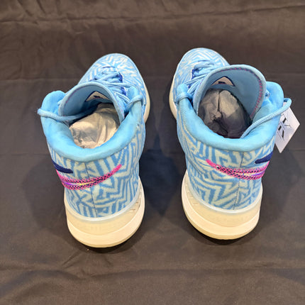 Nike Zoom LeBron NXXT Genisus University Blue White - WiscKicks